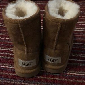 Toddler Chestnut Uggs